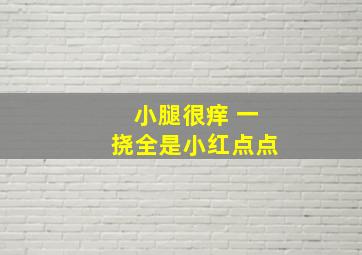 小腿很痒 一挠全是小红点点